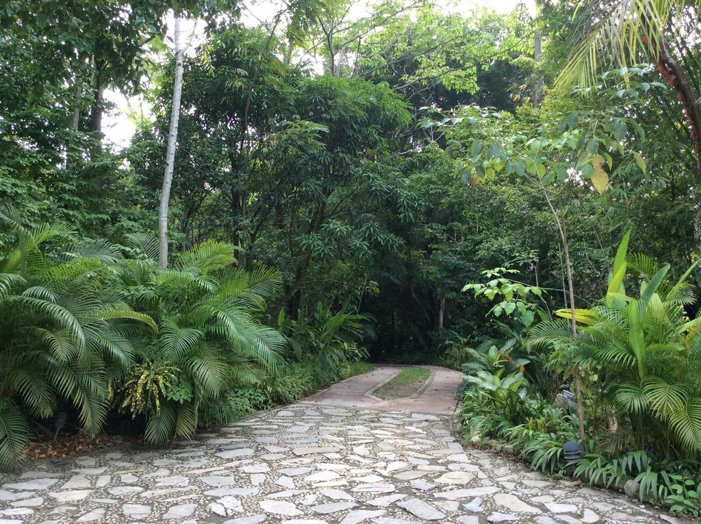 Hotel Boutique Quinta Chanabnal Palenque Exteriér fotografie
