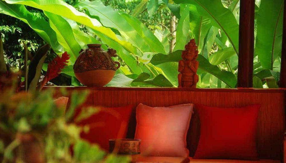 Hotel Boutique Quinta Chanabnal Palenque Exteriér fotografie